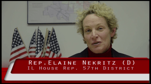Elaine Nekritz Frame