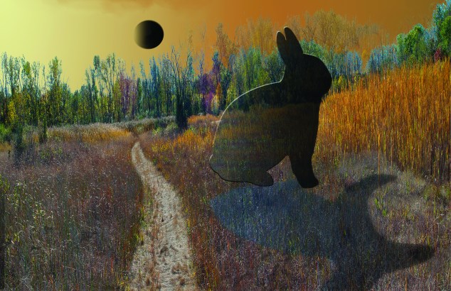 06_moonrabbit_NBechtol