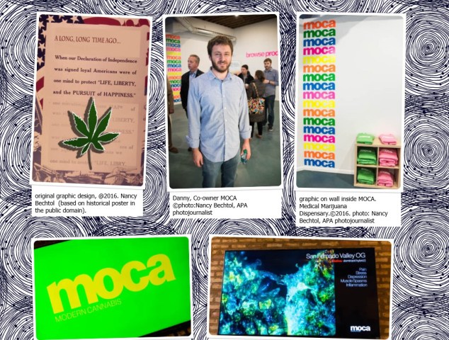 MOCA-Modern Cannabis Opens in Chicago Layout Desk 2x