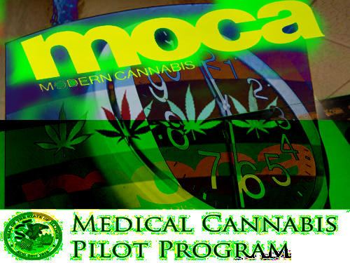 MOCA-Modern Cannabis Opens in Chicago  on Pres Day2016