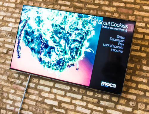 MOCA opening (1 of 1)-55.jpg