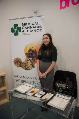 MOCA opening (1 of 1)