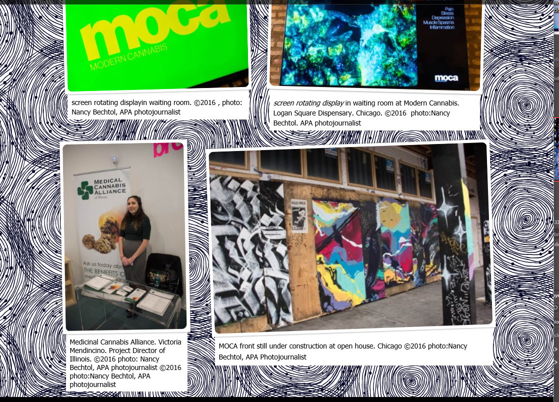MOCA-Modern Cannabis Layour Victoria_Opens in Chicago